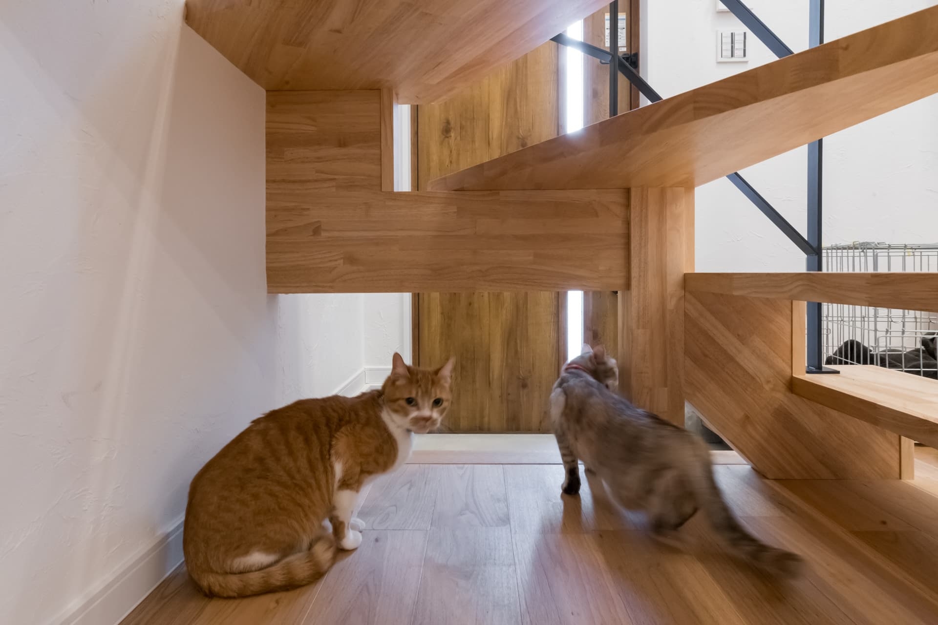 030-PLH20250321_mini (1).jpg