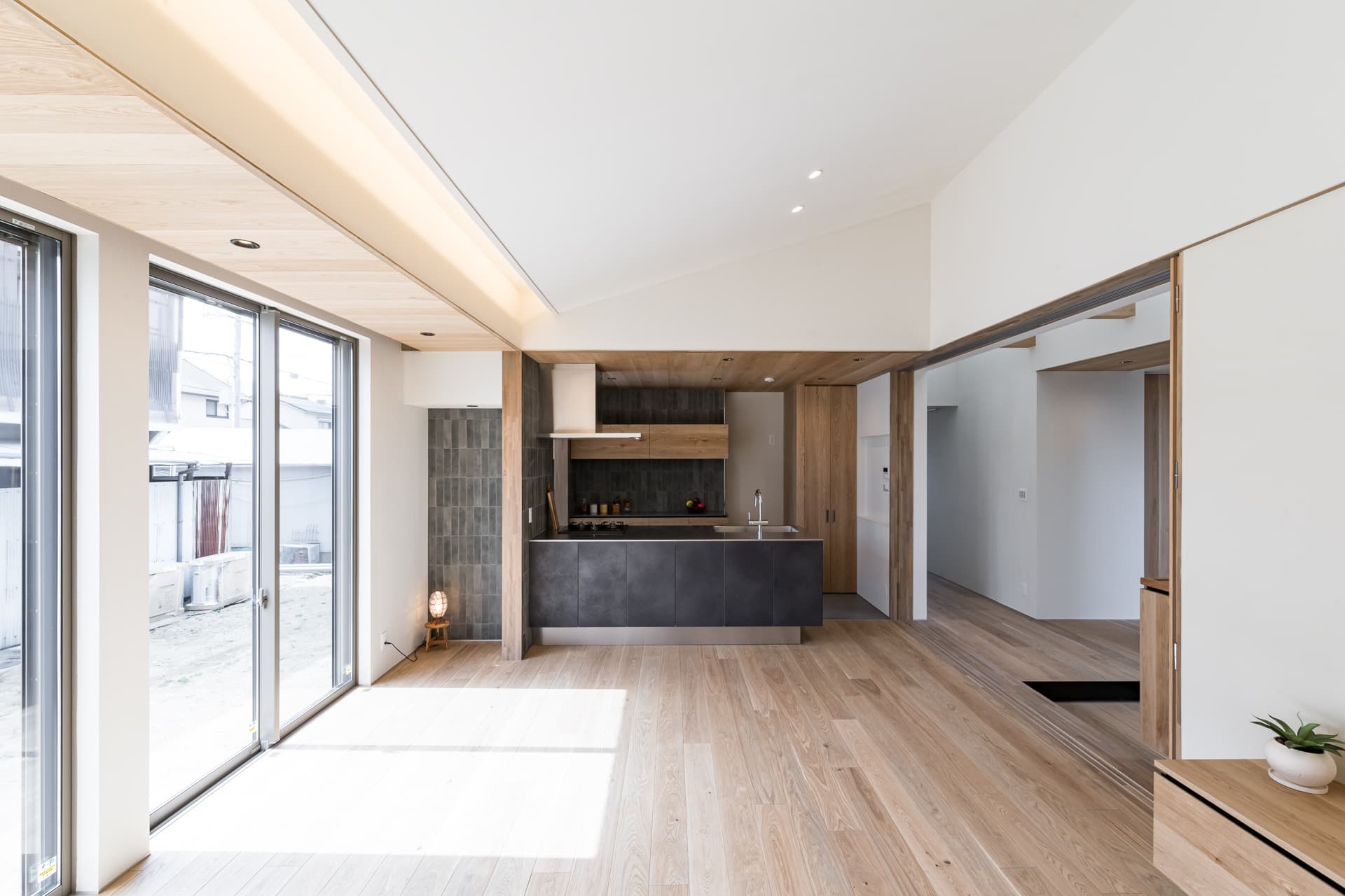 034-PLH20250325_mini (1).jpg