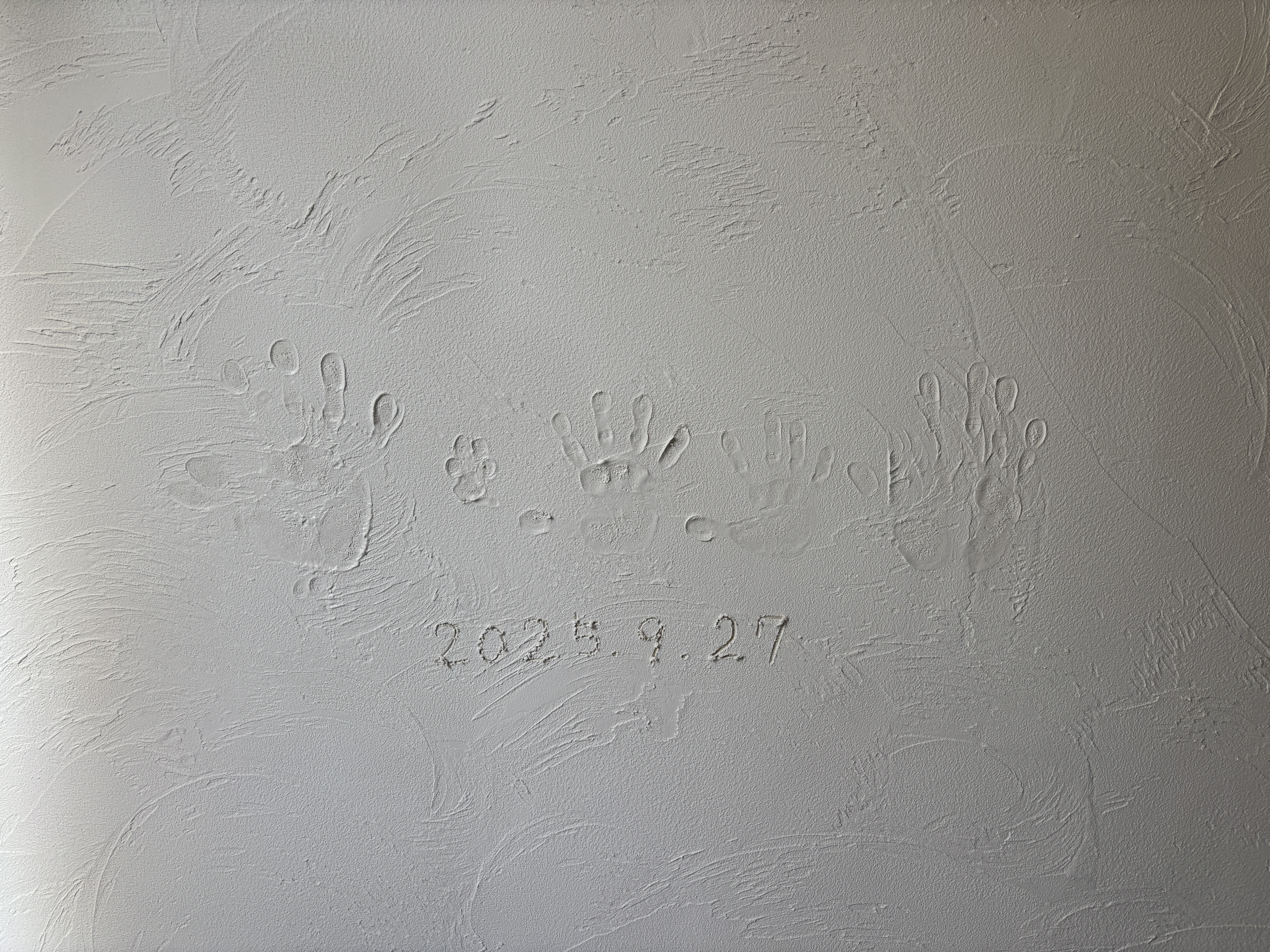 写真 2025-09-27 15 00 52.jpg