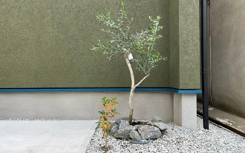 名称未設定のデザイン (3).jpg