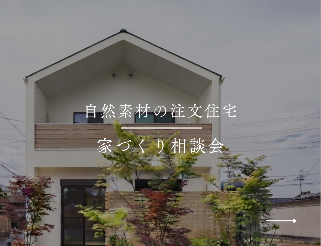 イベント案内